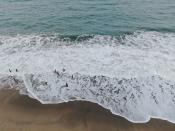 Playa Naranjos Magdalena